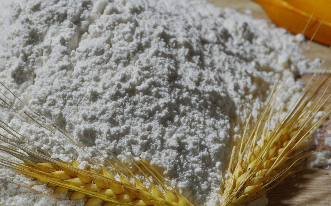 Farine de Blé Thermomix