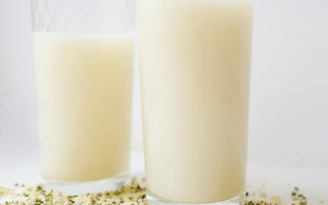Lait de Chanvre Thermomix